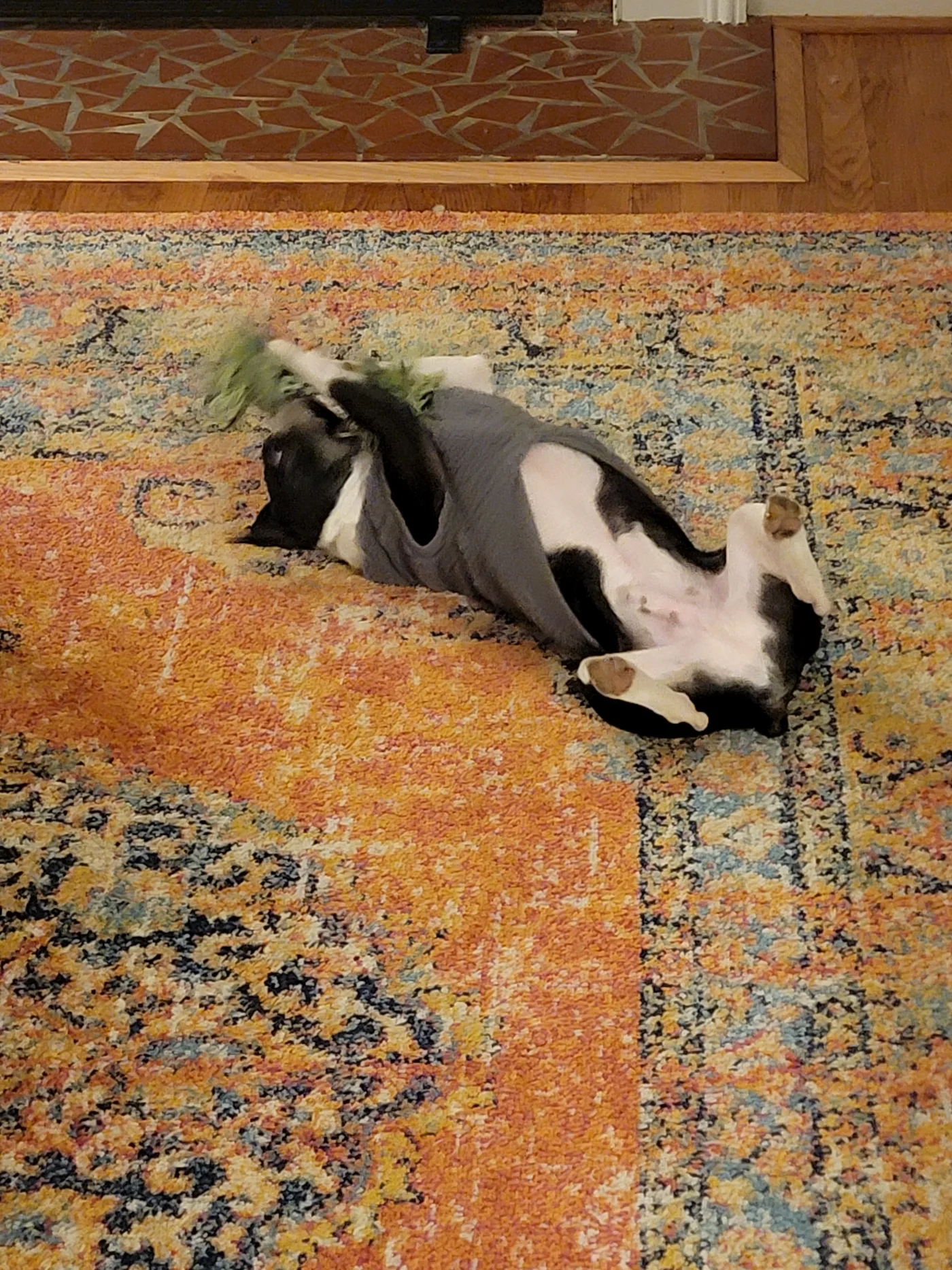 20220128_190940.jpg