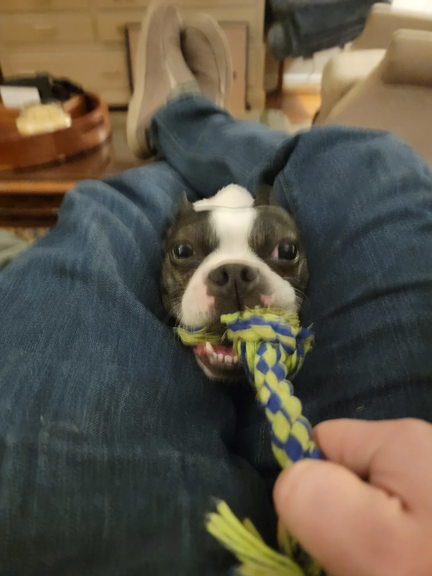20220131_175140.jpg