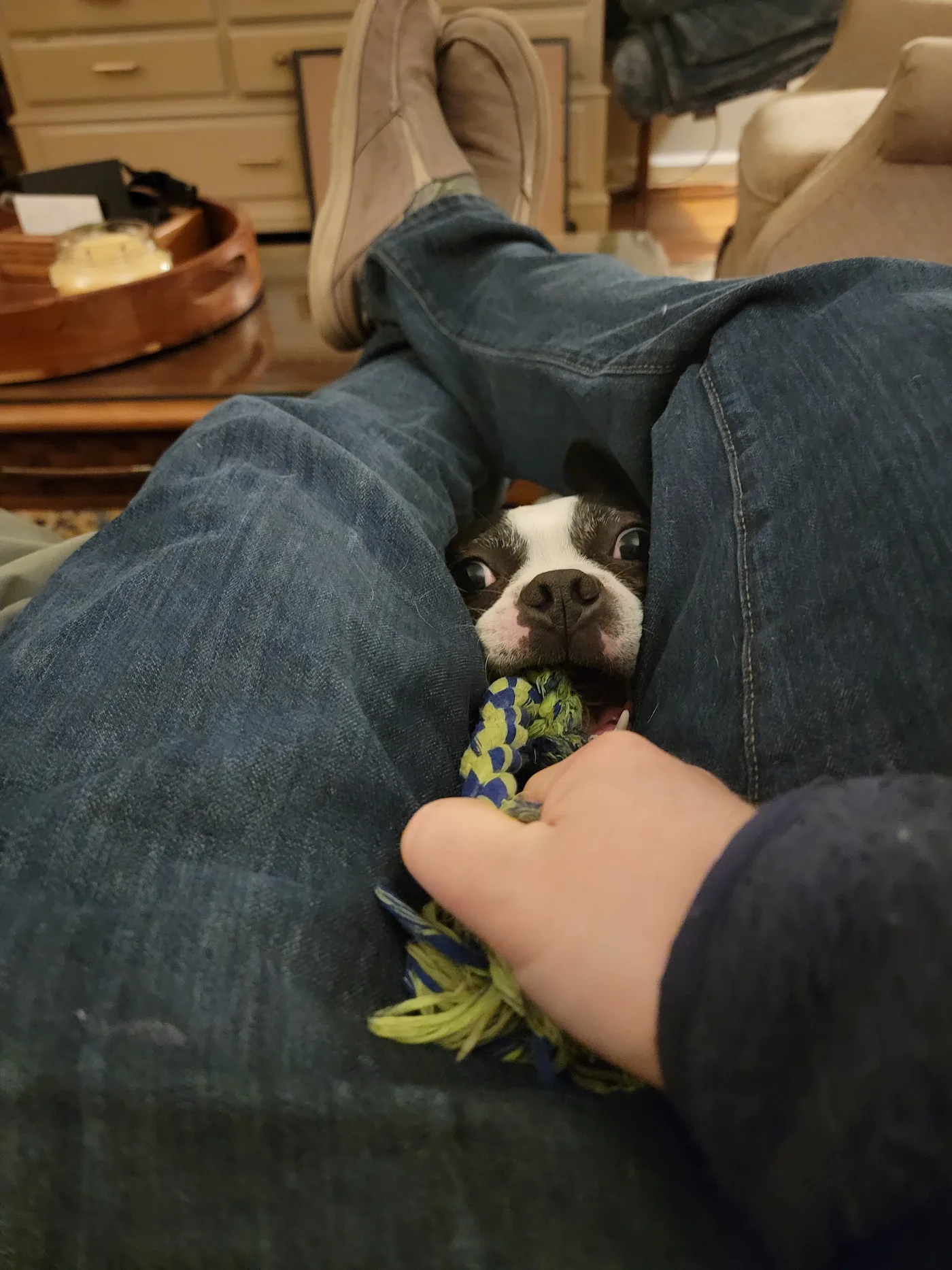 20220131_175158.jpg