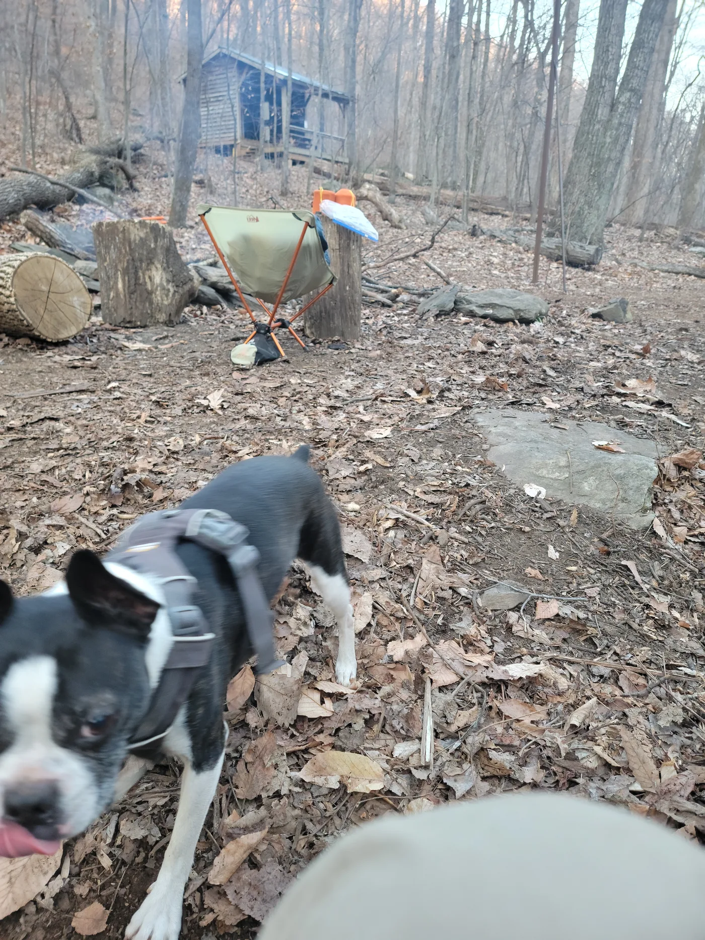 20220305_173546.jpg
