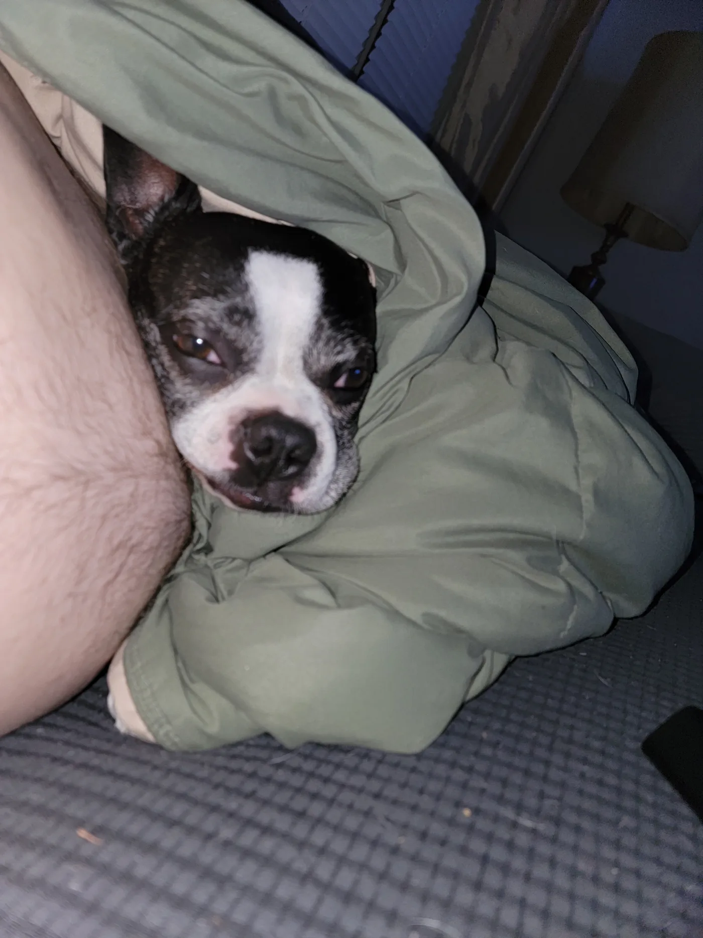20221030_061218.jpg