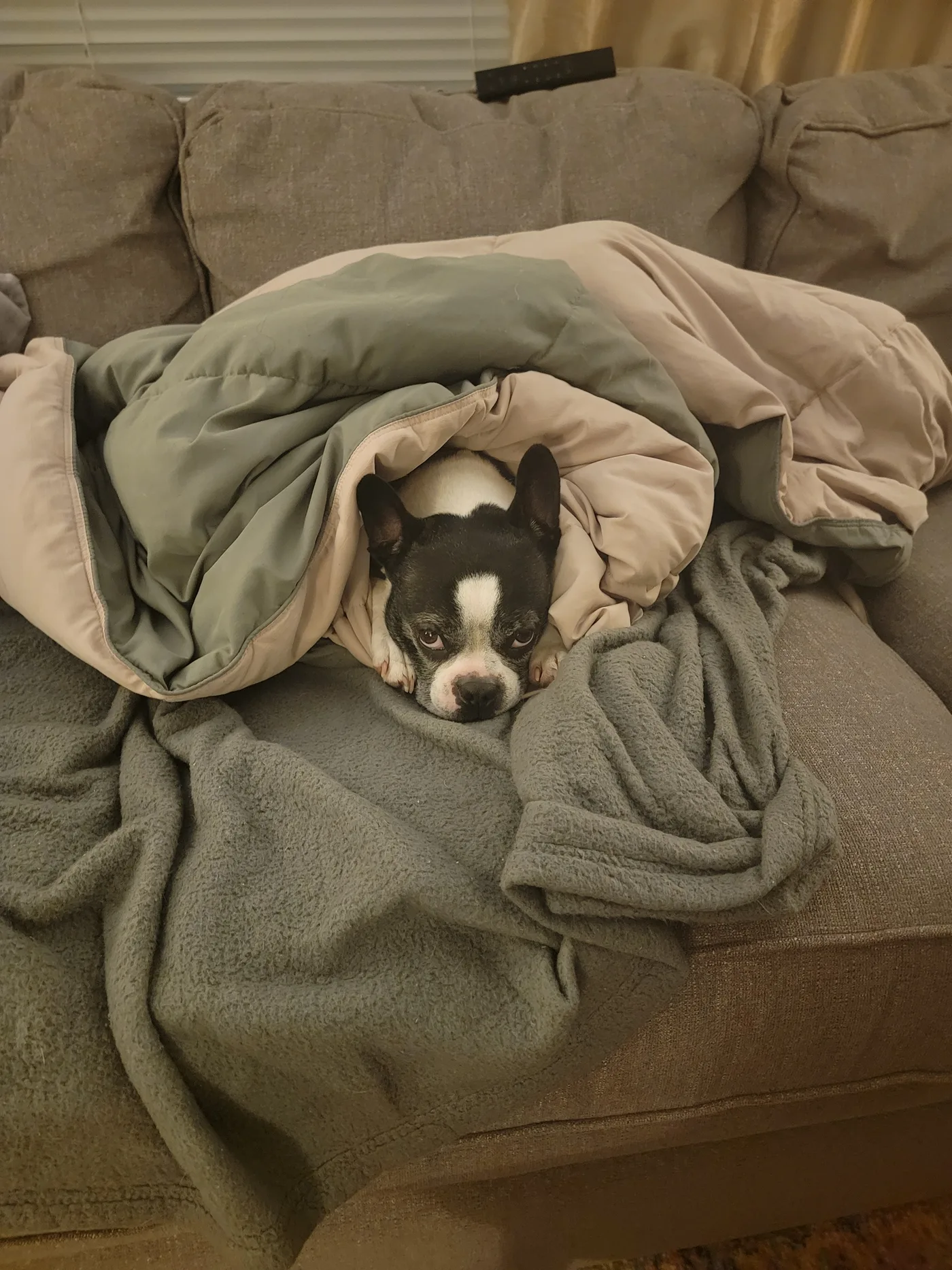 20230120_233051.jpg