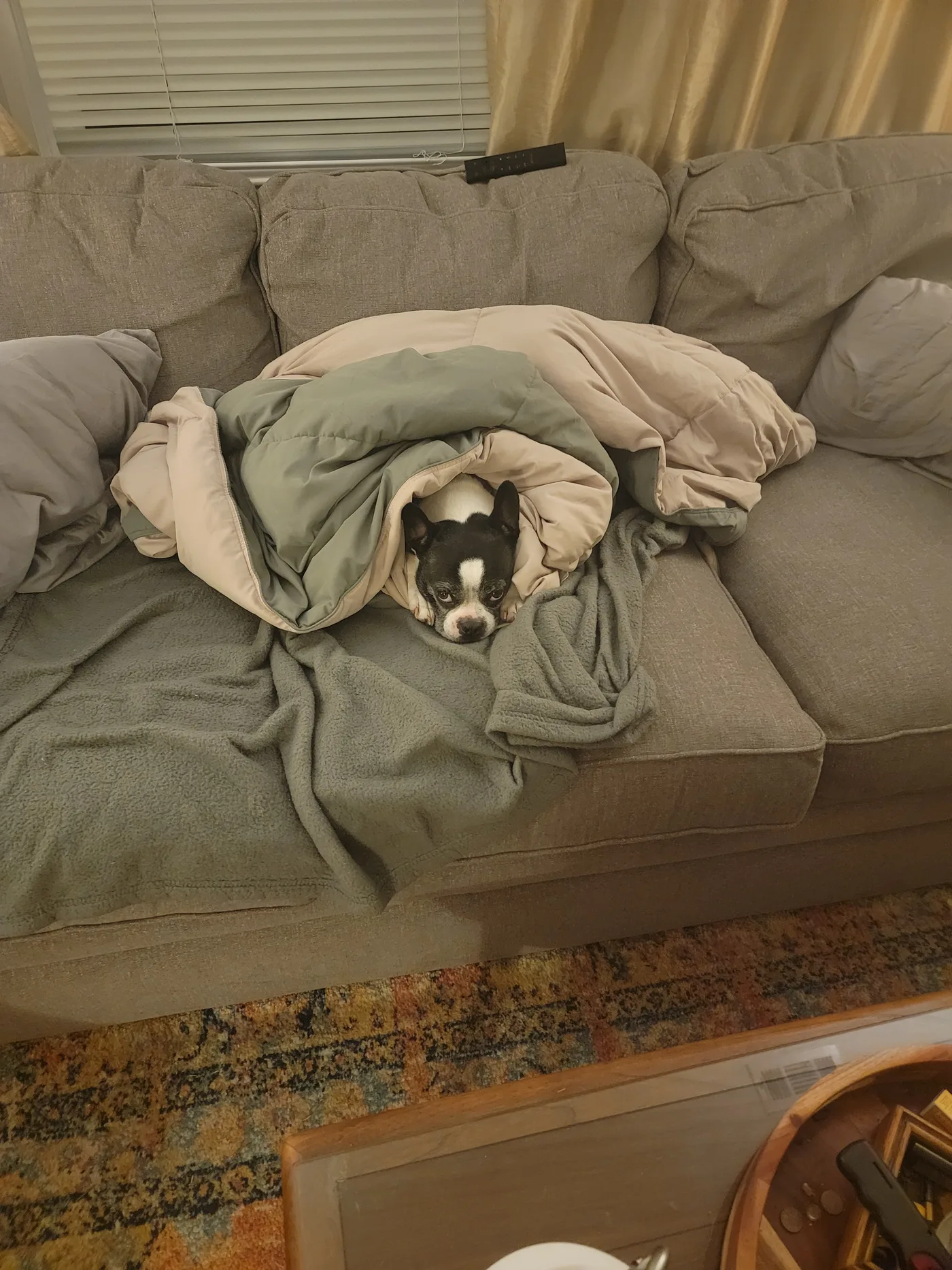 20230120_233054.jpg