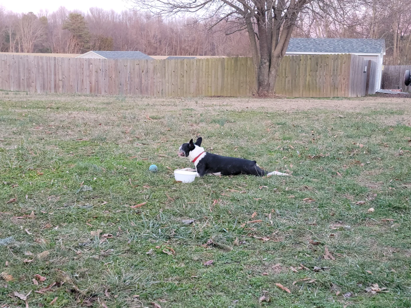 20230128_172933.jpg