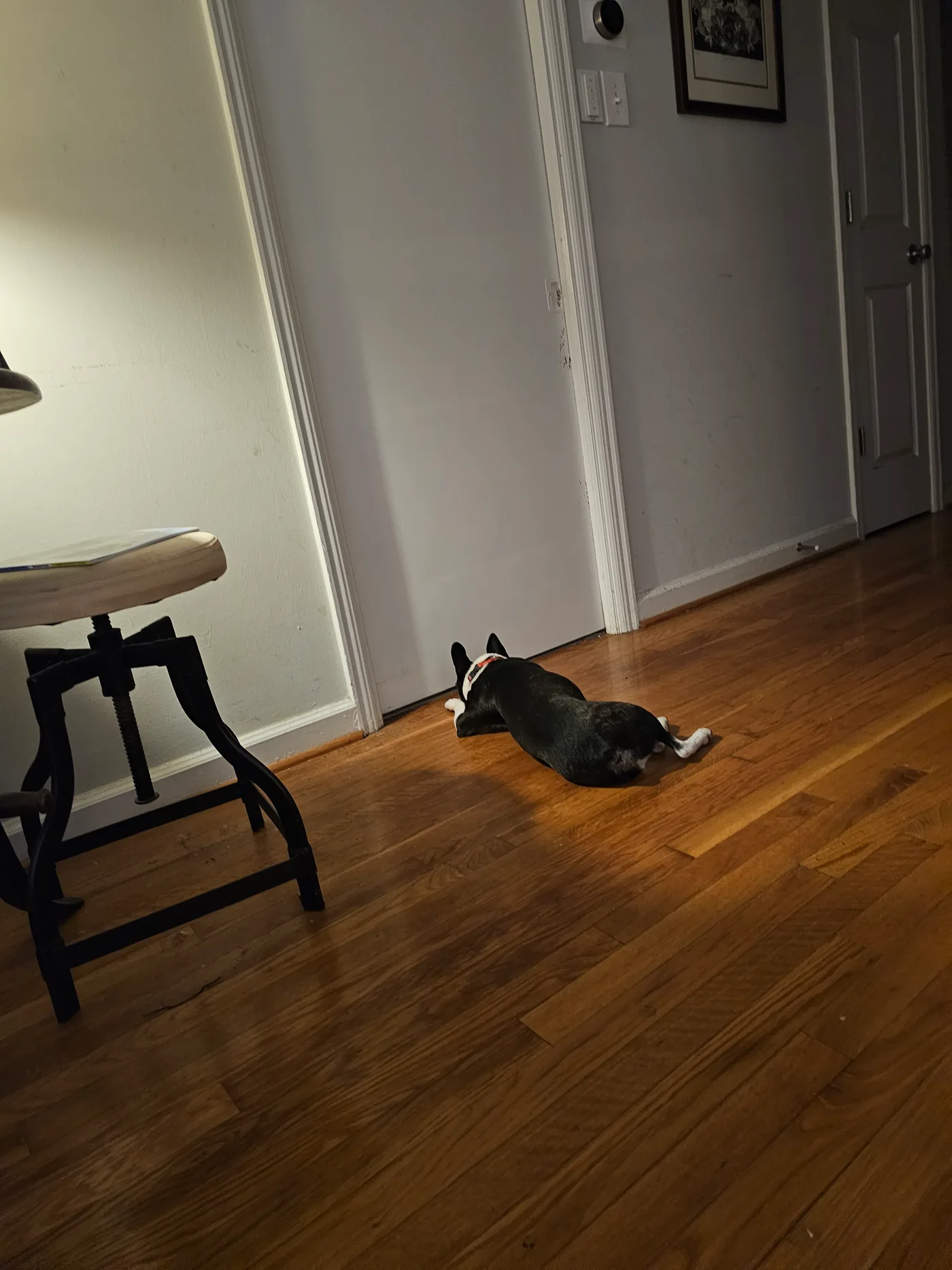 20230413_211613.jpg