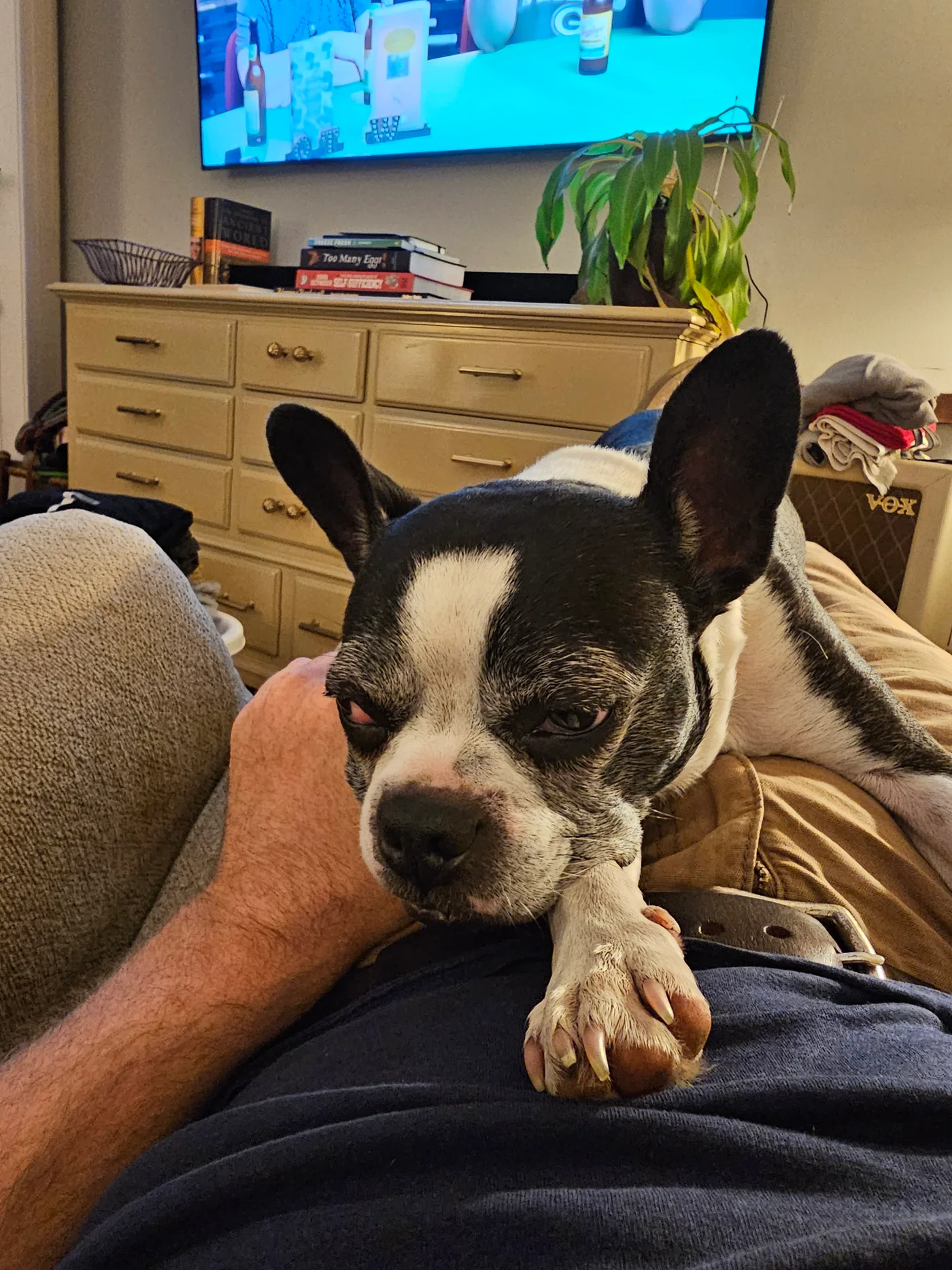 20230915_202905.jpg