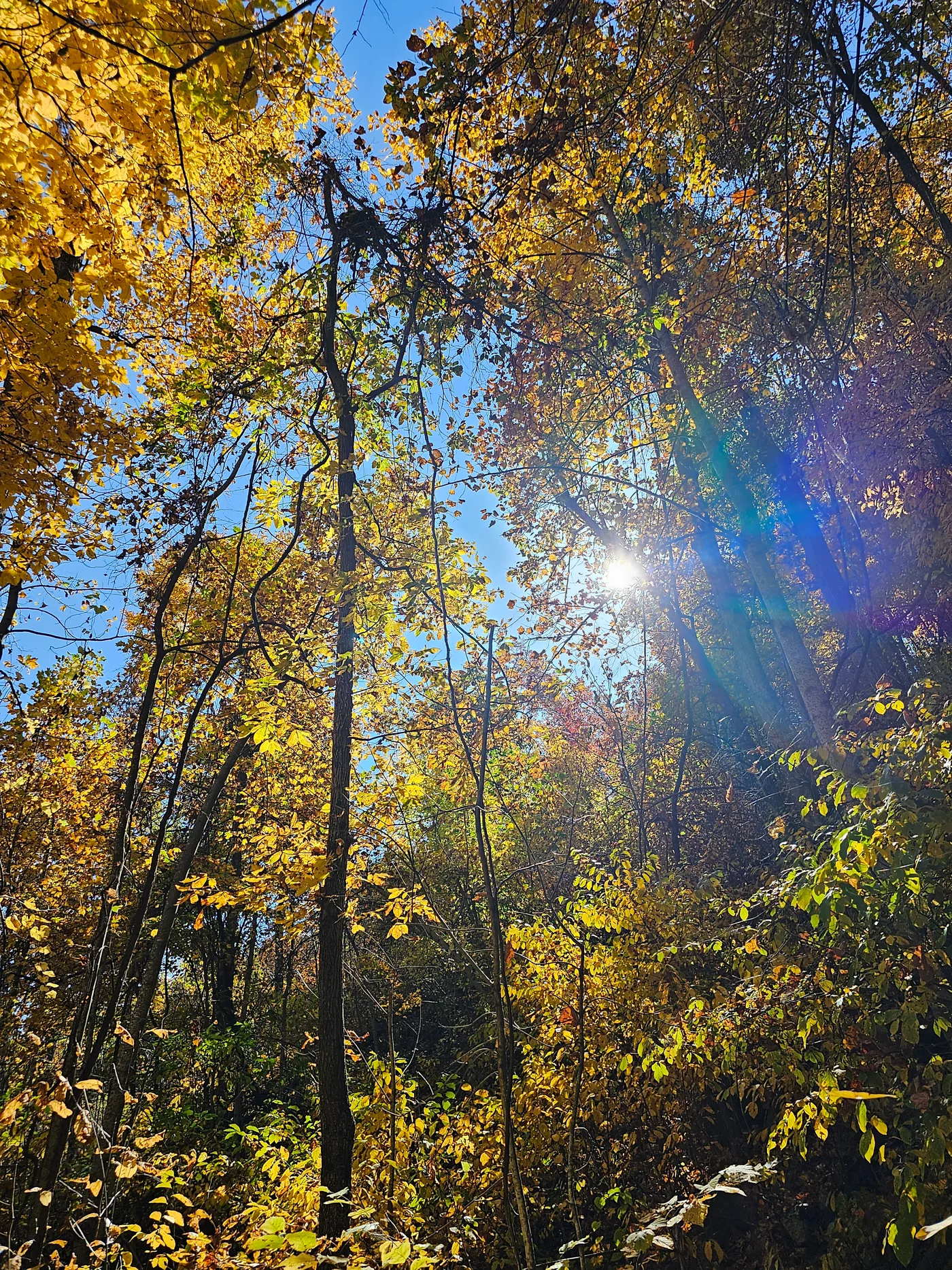 20231028_123827.jpg