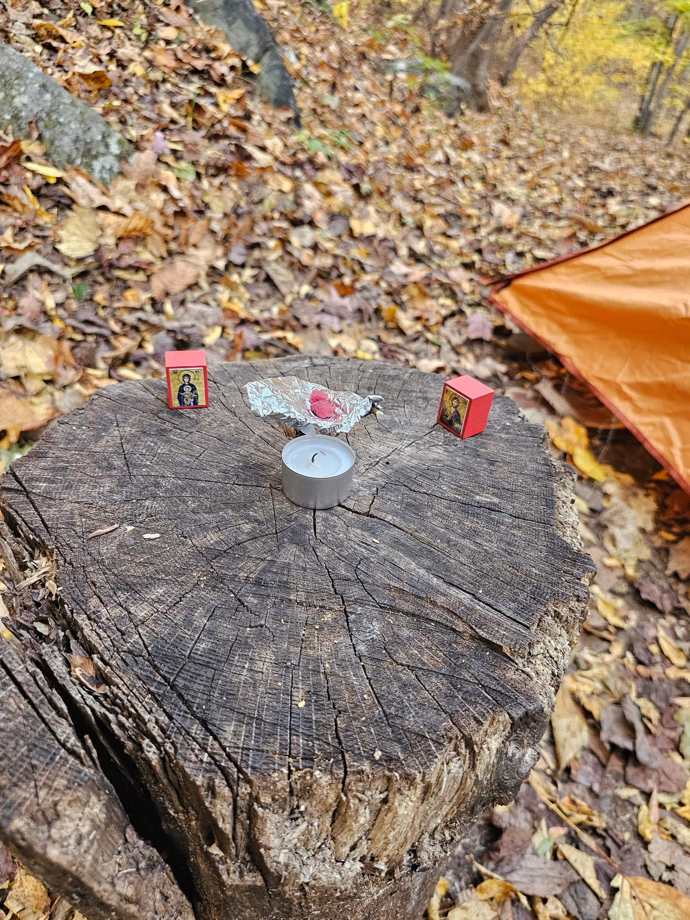 20231028_150456.jpg