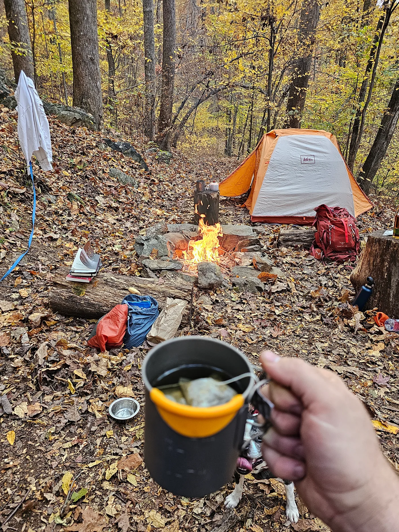 20231028_171723.jpg