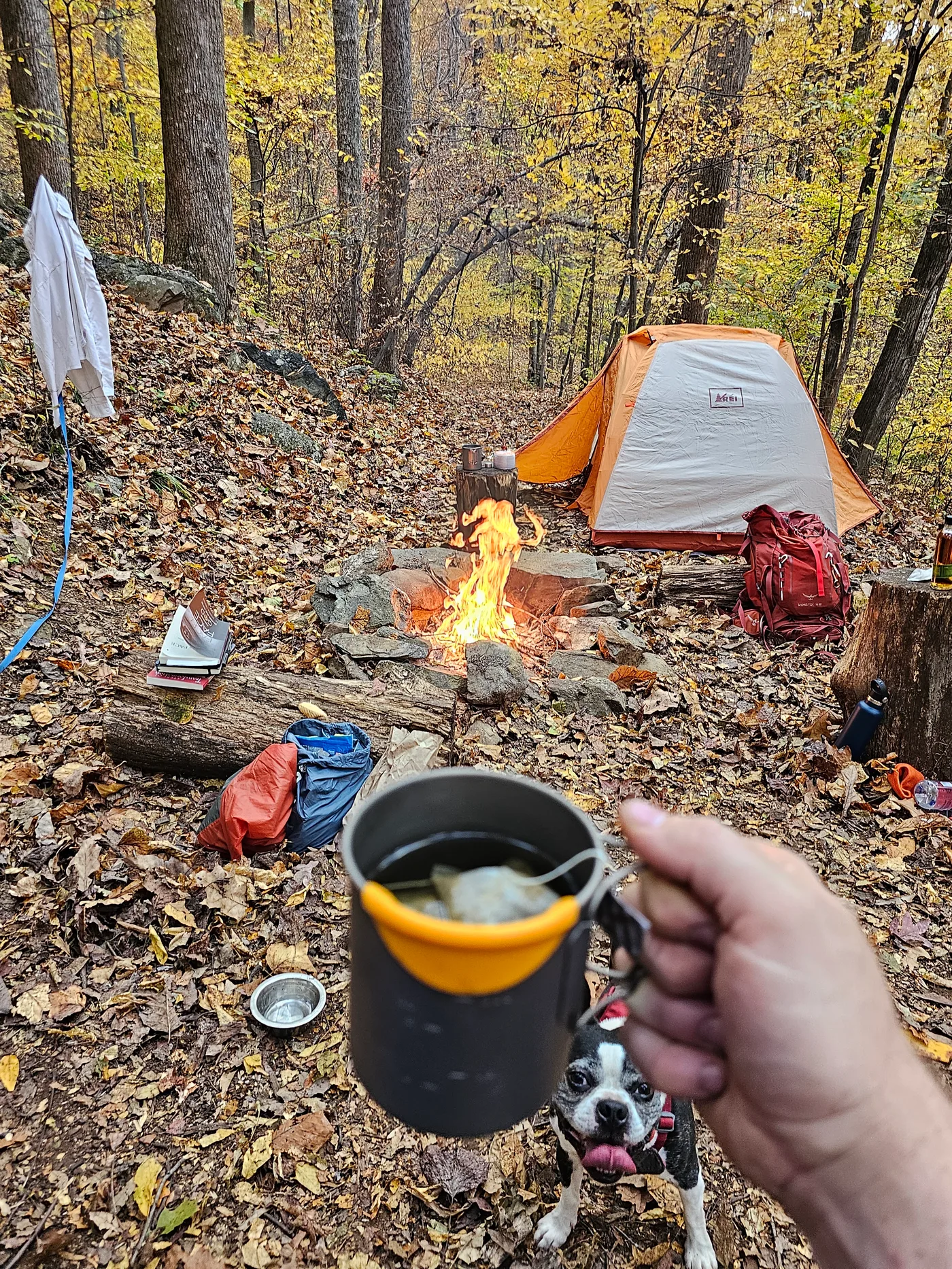 20231028_171724.jpg