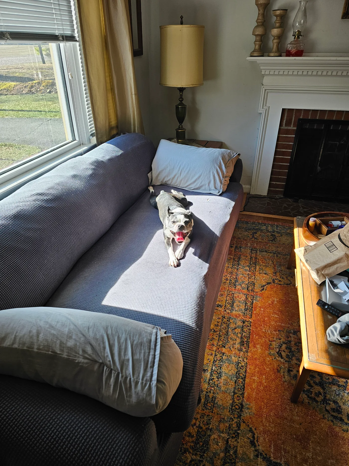 20240129_124757.jpg