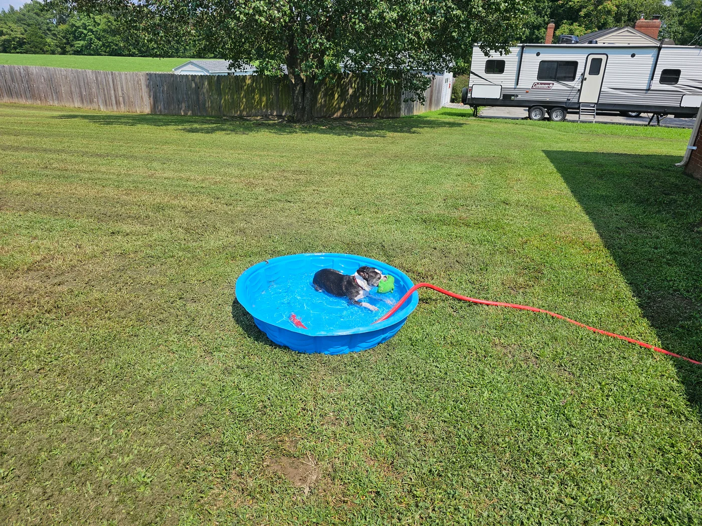 20240810_145513.jpg