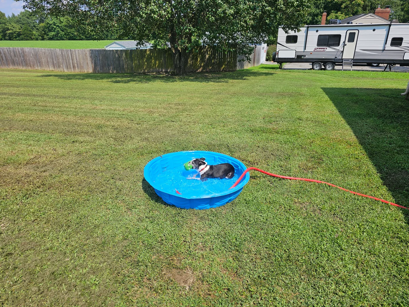 20240810_145515.jpg