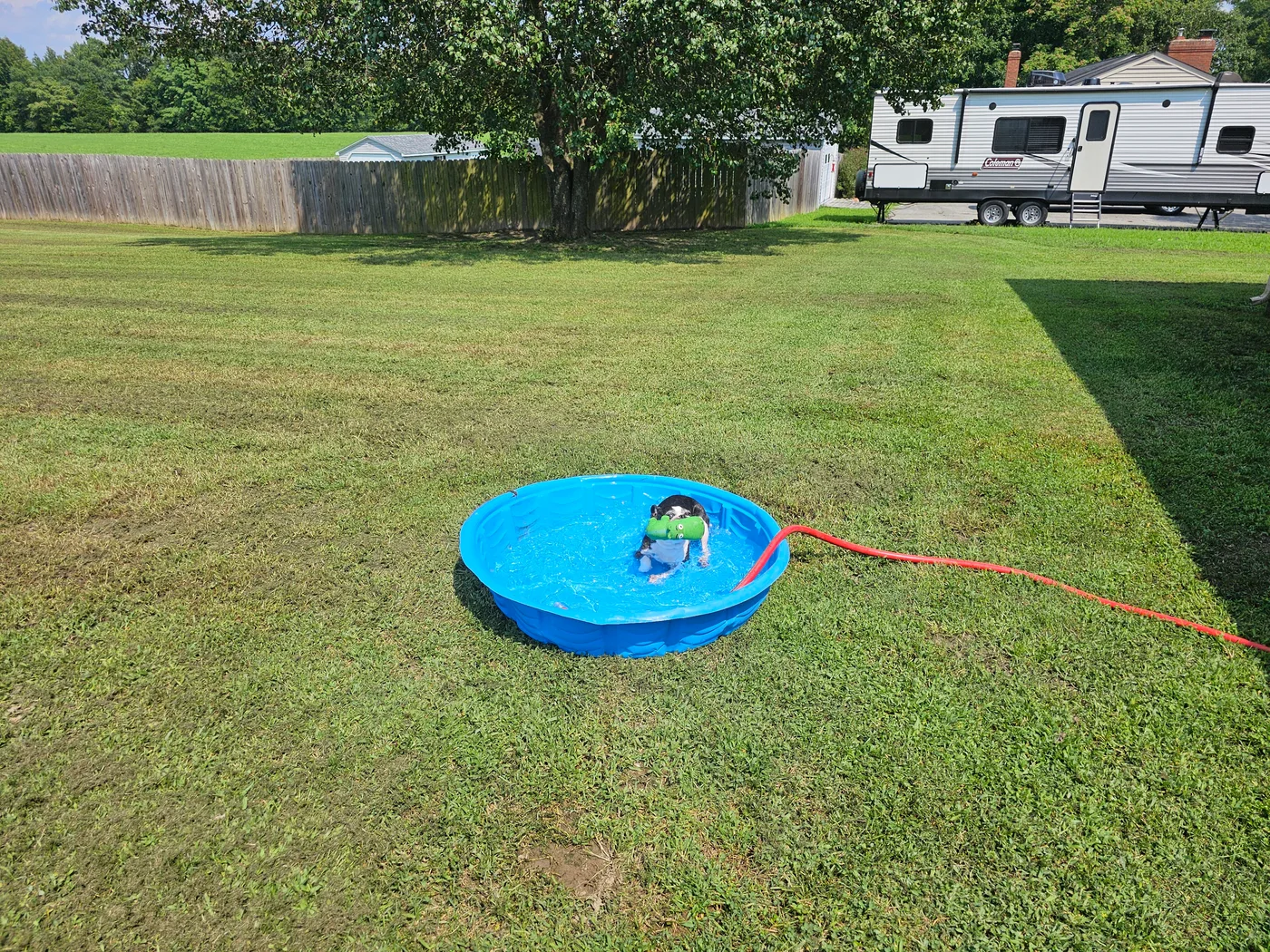 20240810_145516.jpg
