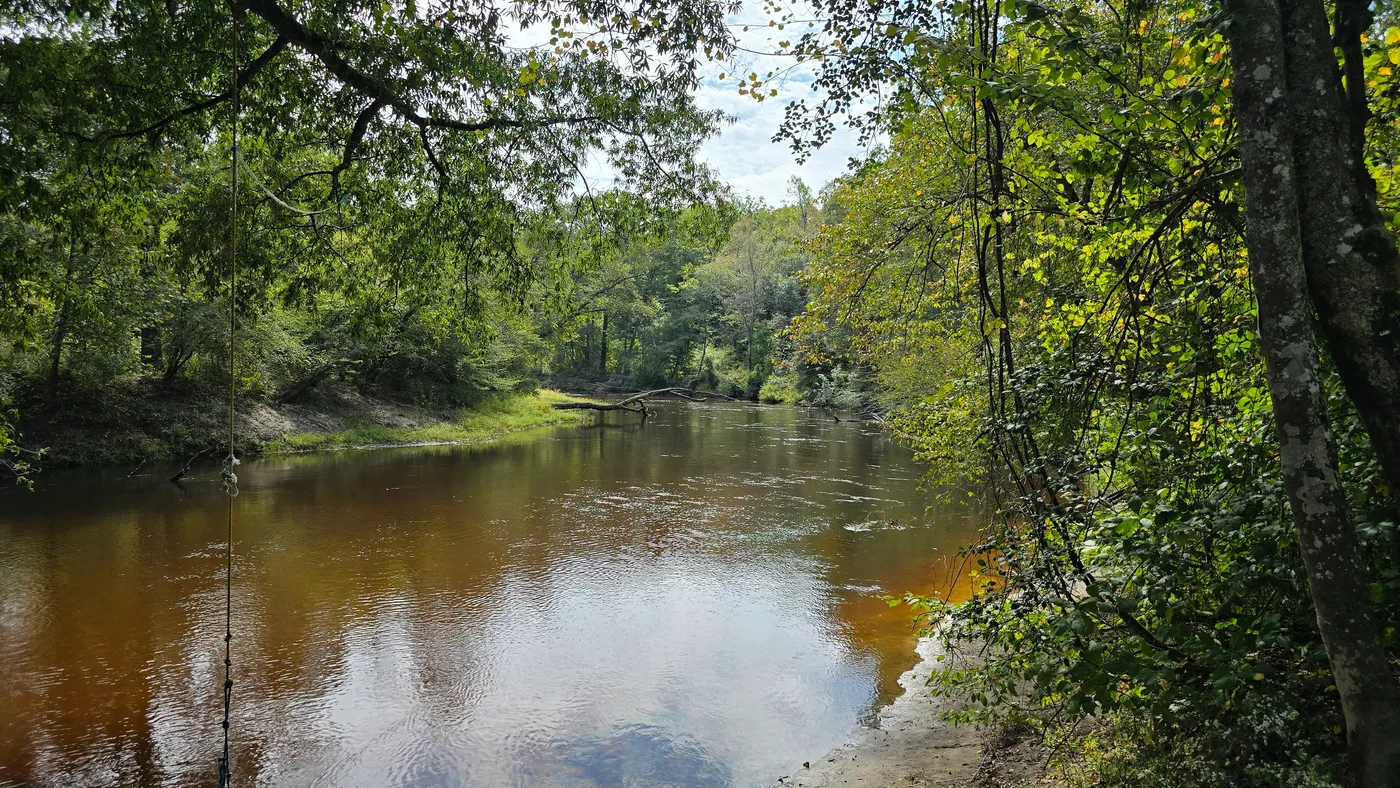20241004_131007.jpg