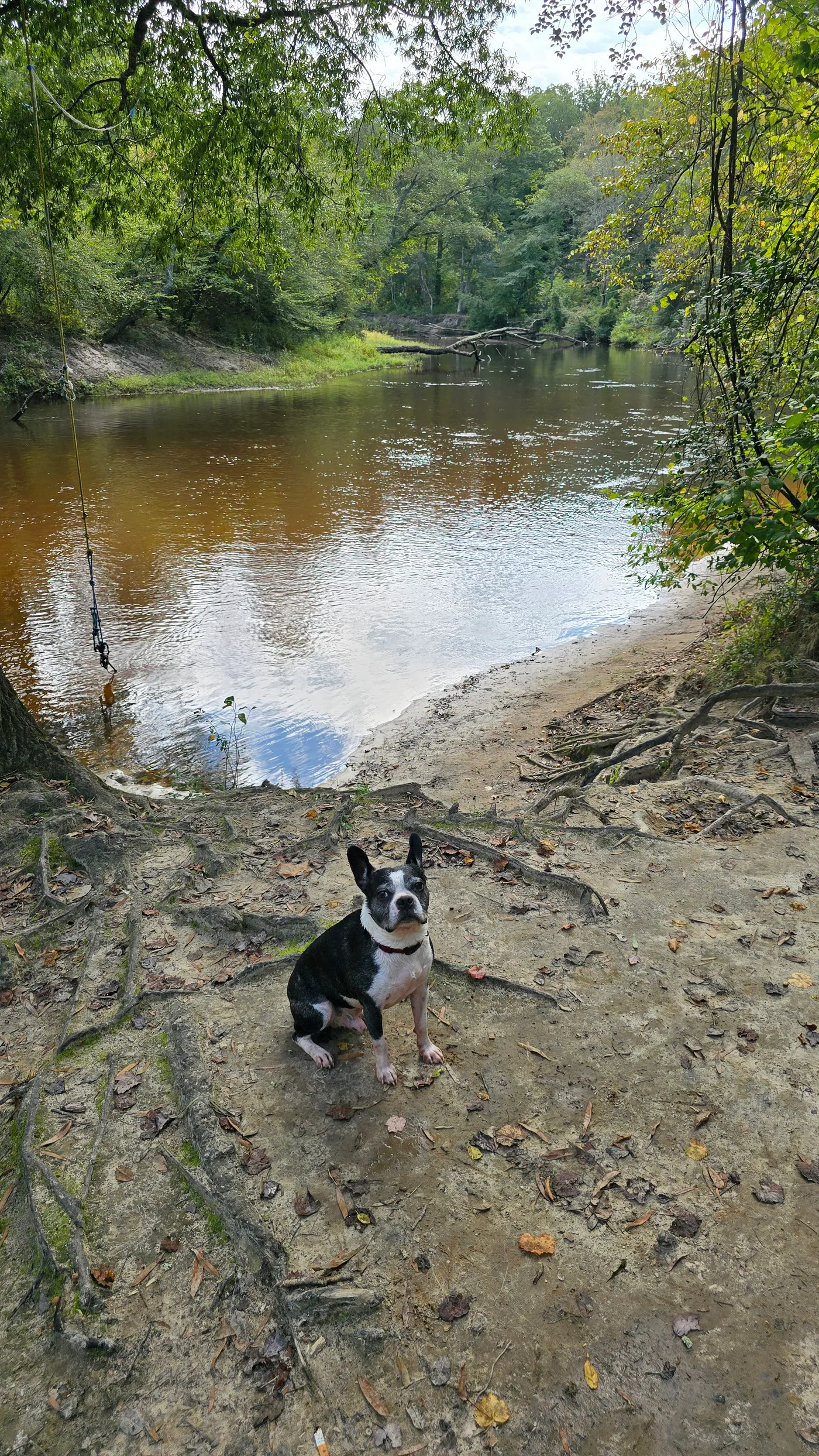 20241004_131339.jpg