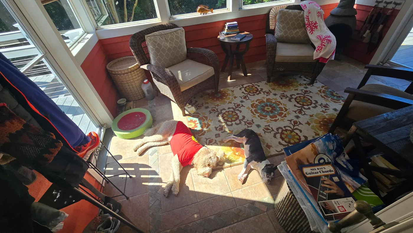 20250827_103200.jpg
