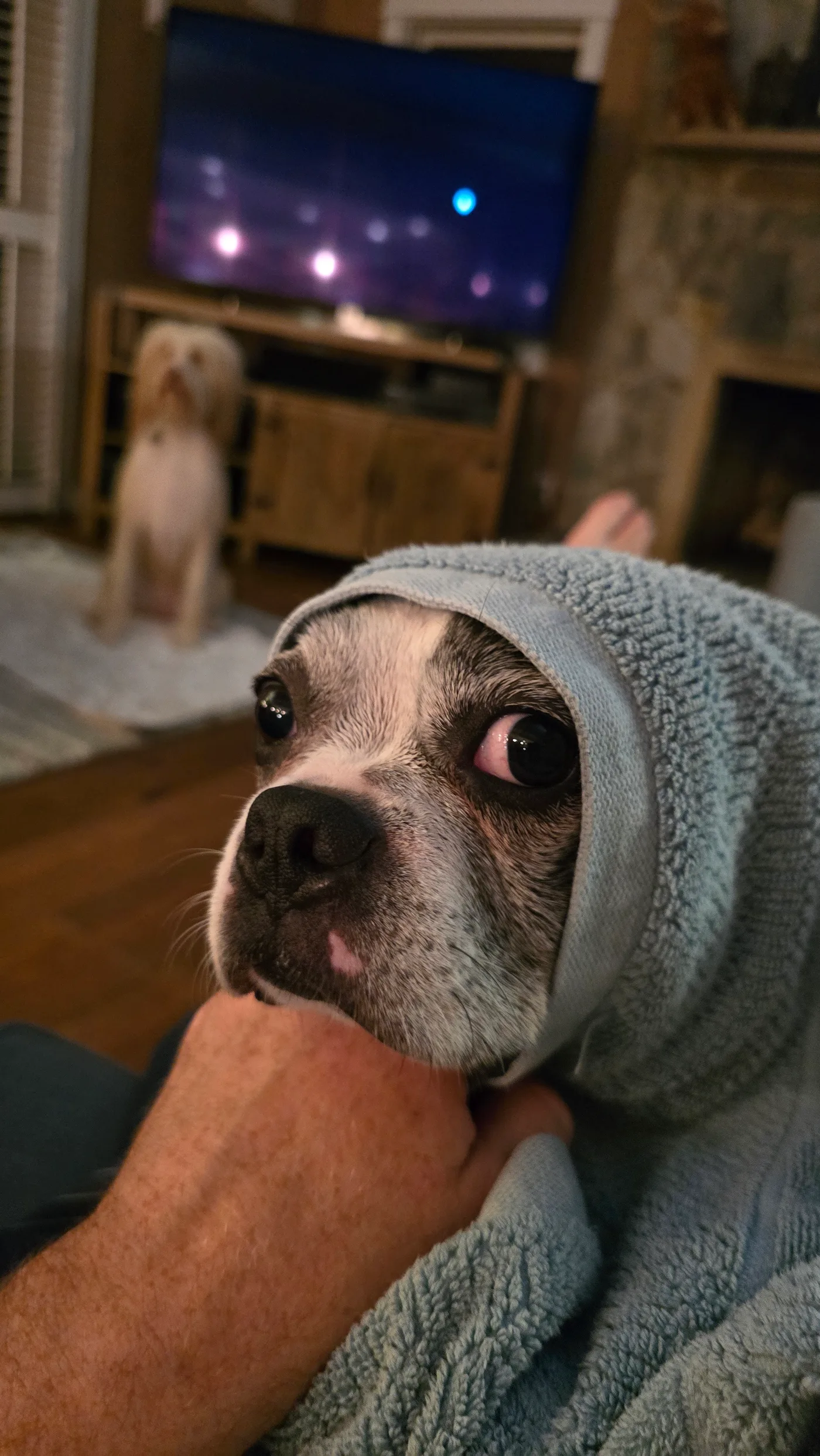 20250827_203936.jpg