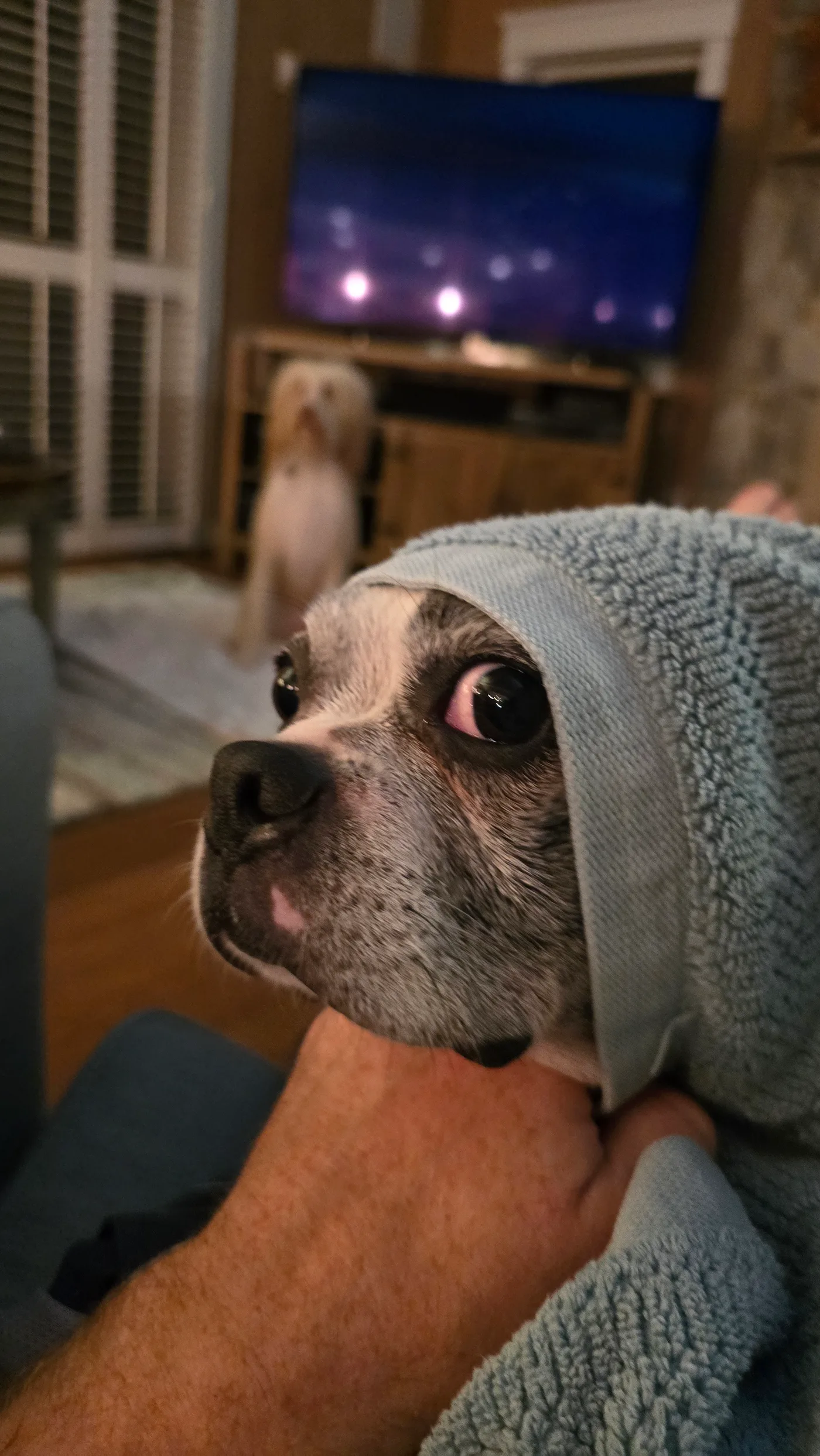 20250827_203948.jpg
