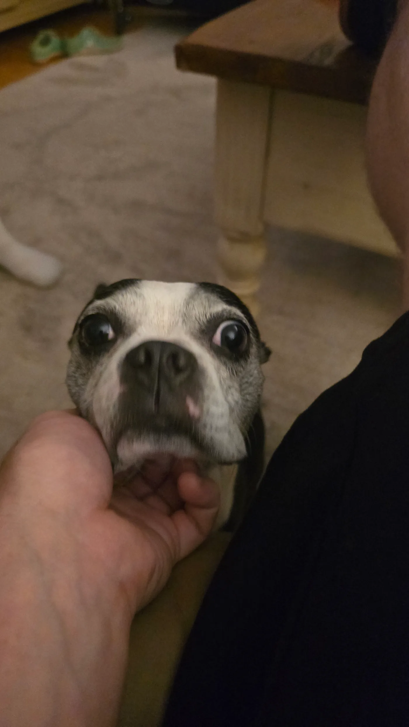 20260614_201228.jpg