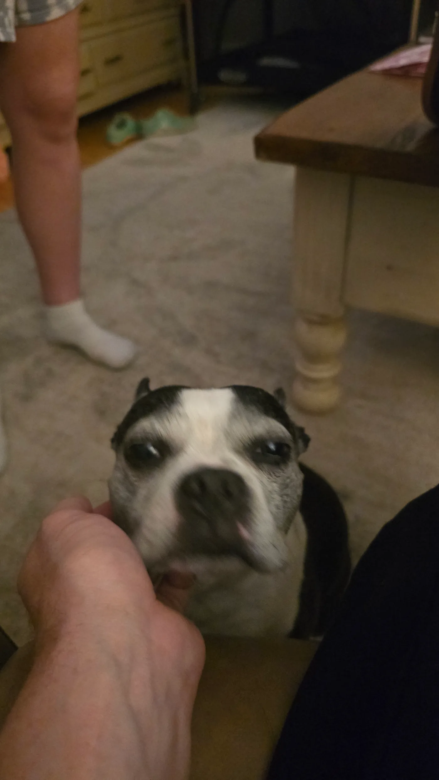20260614_201231.jpg