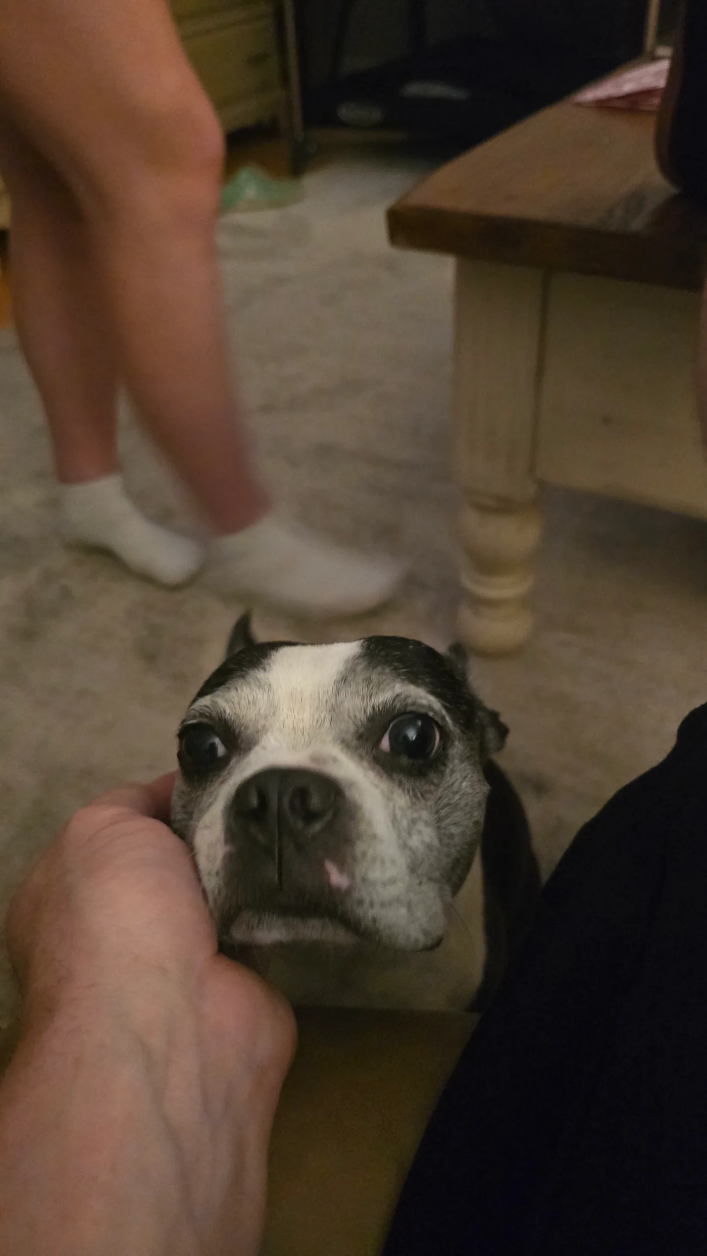 20260614_201232.jpg